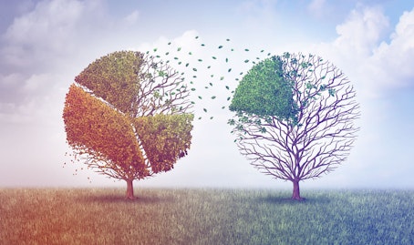 Brand Growth Articles 02 Restrsopective