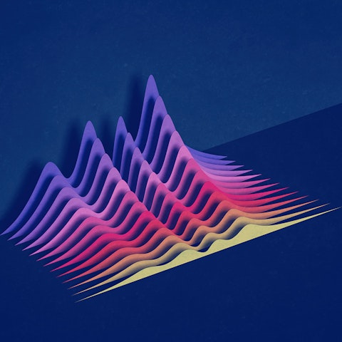 Brand Perfomance exp