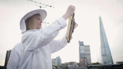 Hannah Rhodes Bee Keeping