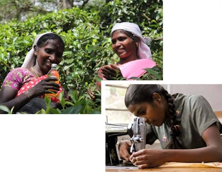 Lemonaid and Charitea farm education 1024x794 1