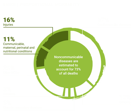 Saudi Arabia proportional mortality 1024x859